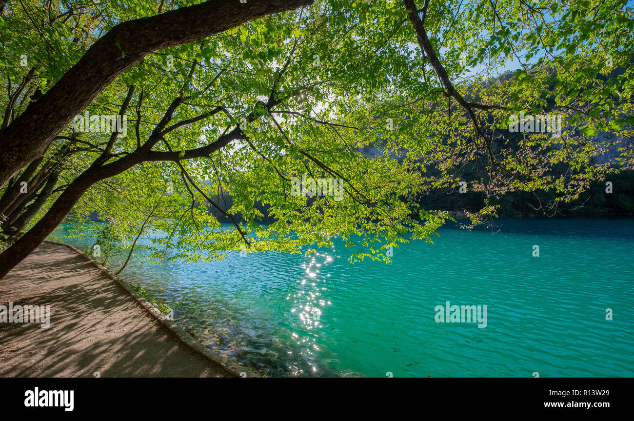 Lacs de Plitvice Parc National. Saison Automne site de l'UNESCO. De l'automne. La Croatie. Banque D'Images