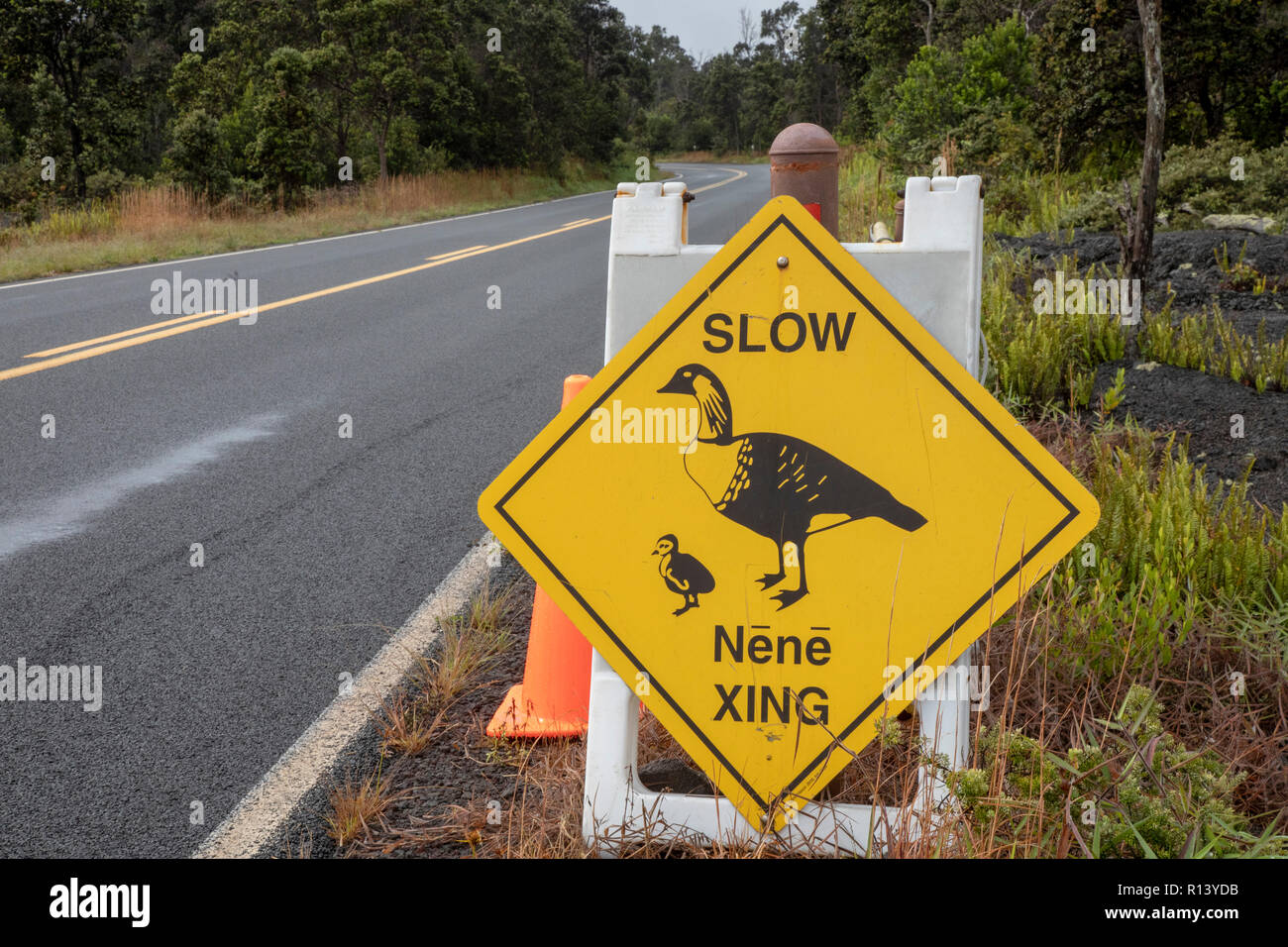 Hawaii Volcanoes National Park, New York - un signe prévient les conducteurs d'être conscient de nene, l'Hawaiian Goose. Le nene de l'Etat d'Hawaii est oiseau. Il est constaté sur Banque D'Images