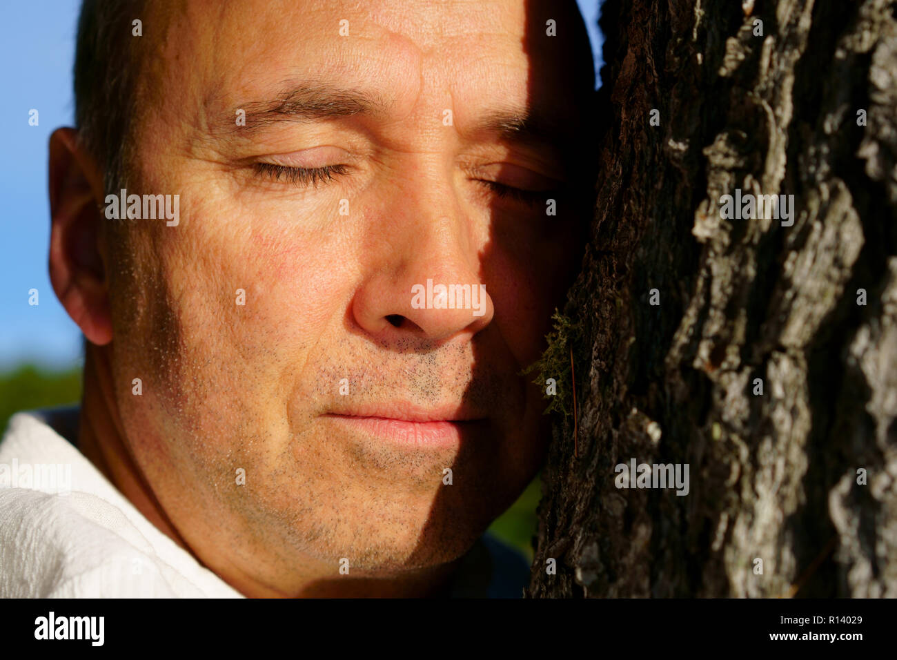 Un homme de race blanche, 50 ans, adopte un grand arbre pacifiquement à partager l'énergie. Banque D'Images