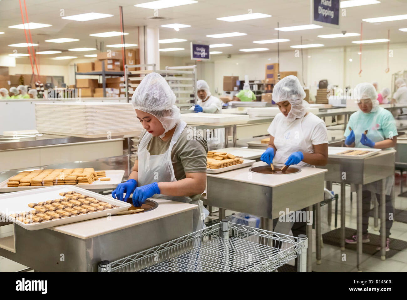 Hilo, Hawaii - Les ouvriers effectuent des sablés Noix de Macadamia trempées dans du chocolat au lait à Big Island Les friandises. Banque D'Images