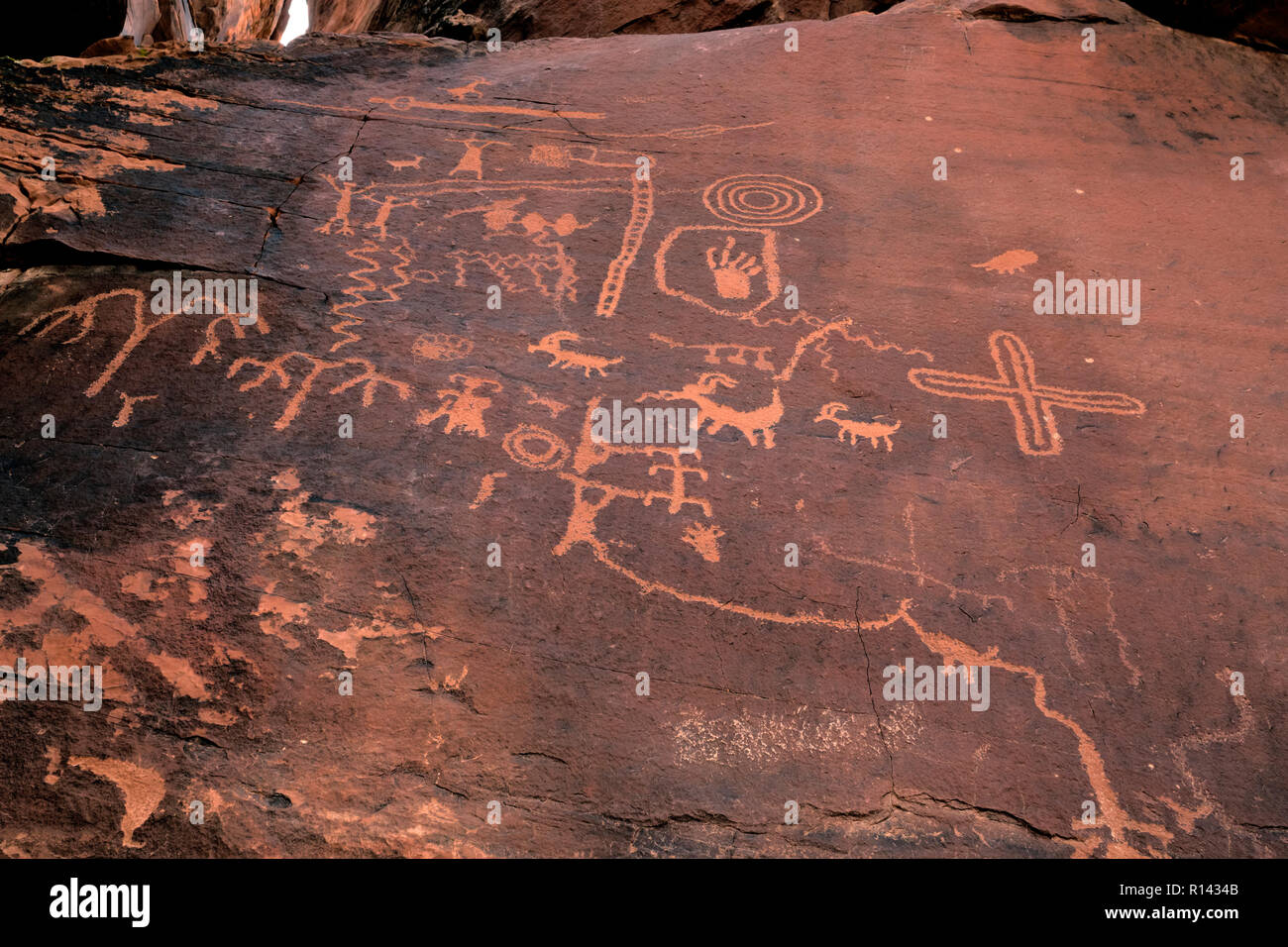NV00115-00...NEVADA - Ancient Native American art rupestre, pétroglyphes, sur l'Atlatl Rock dans la Vallée de Feu State Park. Banque D'Images