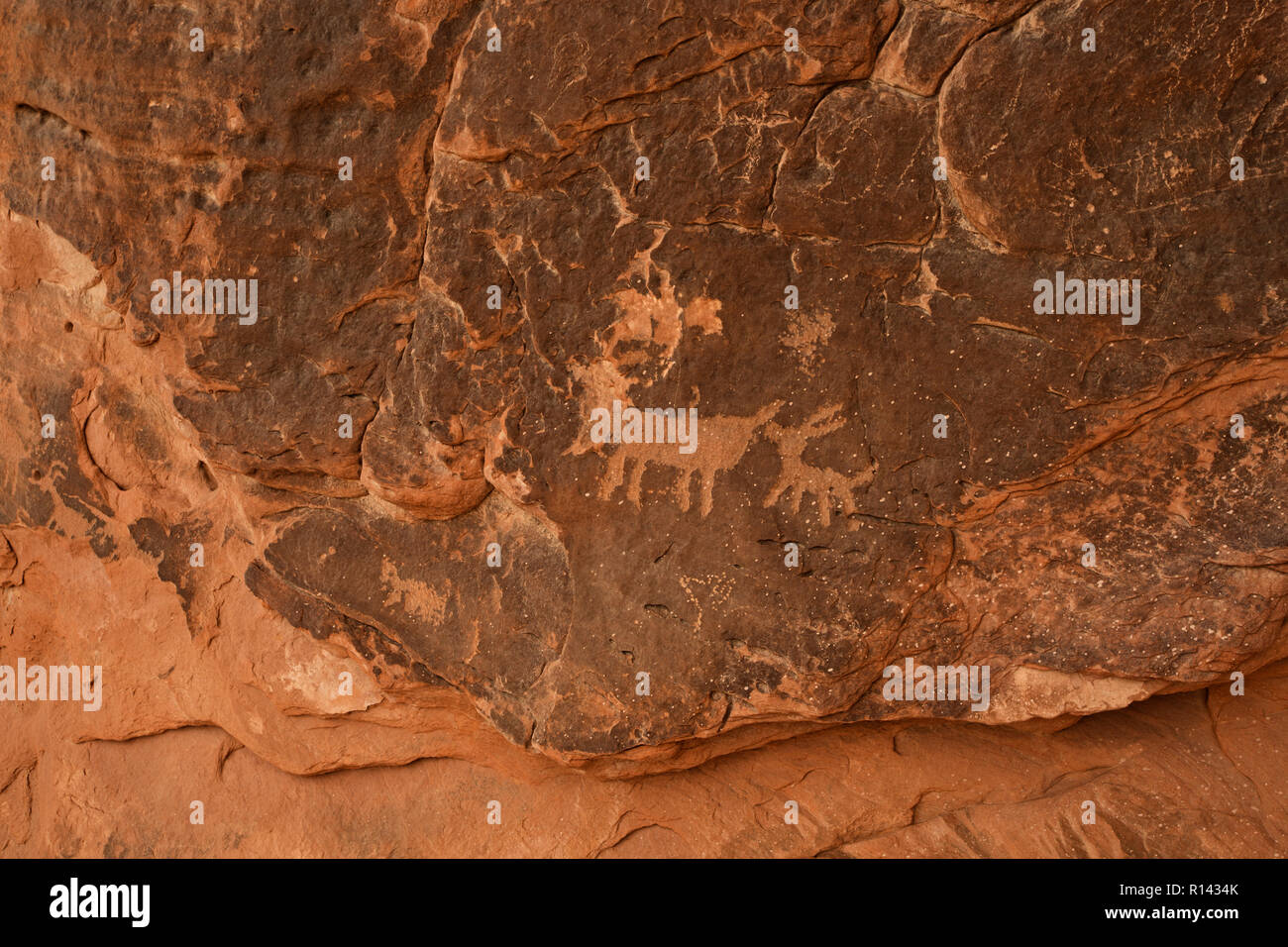 NV00117-00...NEVADA - Ancient Native American art rupestre, pétroglyphes, sur l'Atlatl Rock dans la Vallée de Feu State Park. Banque D'Images