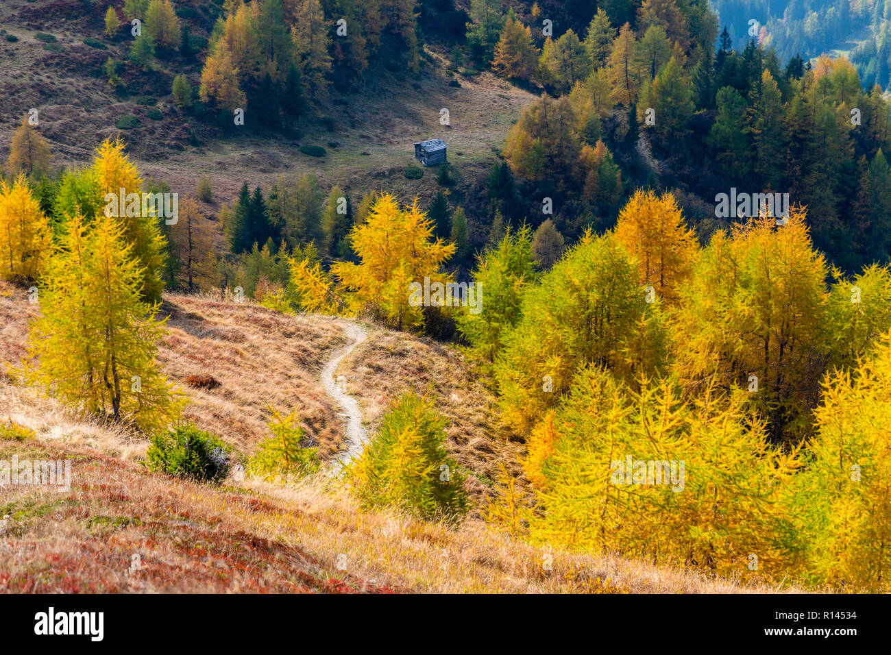 Chemin de randonnée alpine entre les mélèzes colorés en automne, Grossglockner, Autriche Banque D'Images