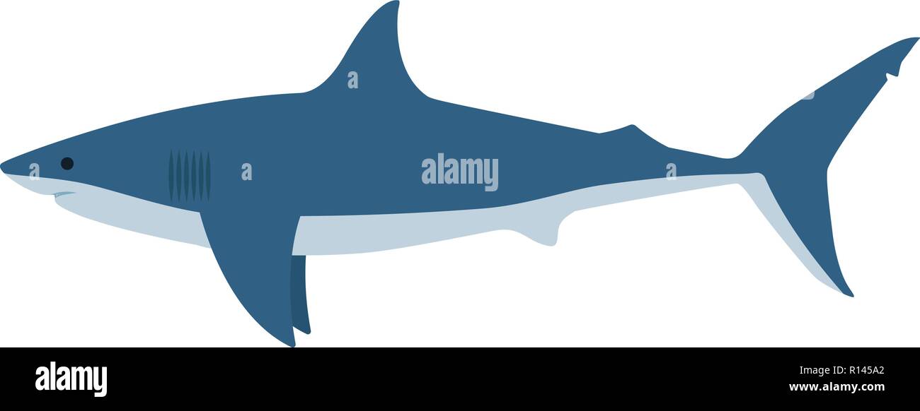 Dangereux d'illustration vectorielle, grand requin blanc Illustration de Vecteur