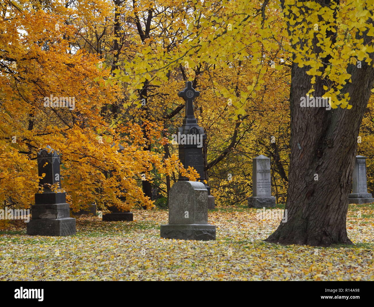 Le cimetière Mount Pleasant est un ancien cimetière dans un cadre semblable à un parc avec des arbres matures que prises sur couleurs spectaculaires à l'automne. Banque D'Images