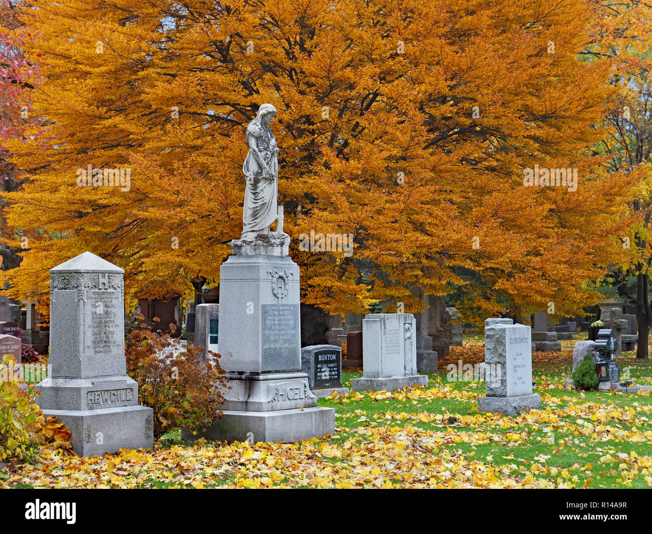 TORONTO - NOVEMBRE, 2018 : Le cimetière Mount Pleasant est un ancien cimetière dans un cadre semblable à un parc avec des arbres matures que prises sur couleurs spectaculaires dans le Banque D'Images