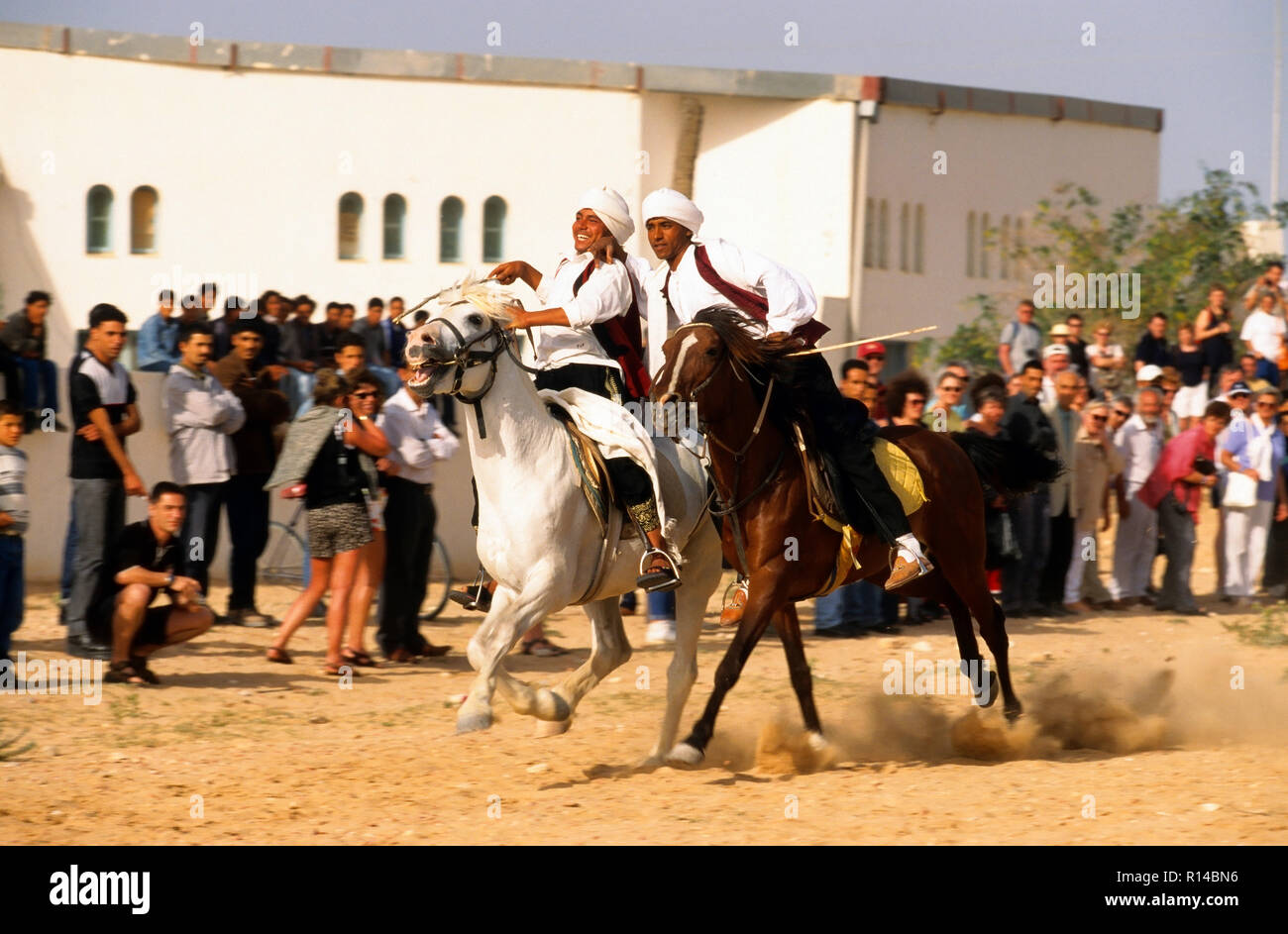Course de chevaux arabes, Djerba, Tunisie Banque D'Images