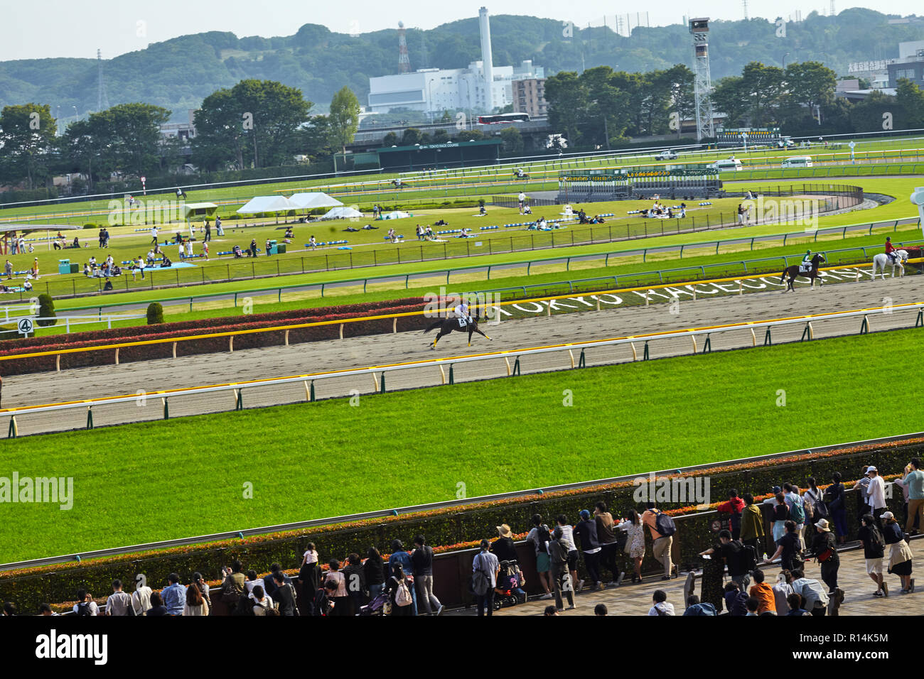 Tokyo, Japon. 232, avril 2018. Hoкses pur-sang en mouvement avec jockey sur la ligne d'arrivée de l'hippodrome de Tokyo. Banque D'Images