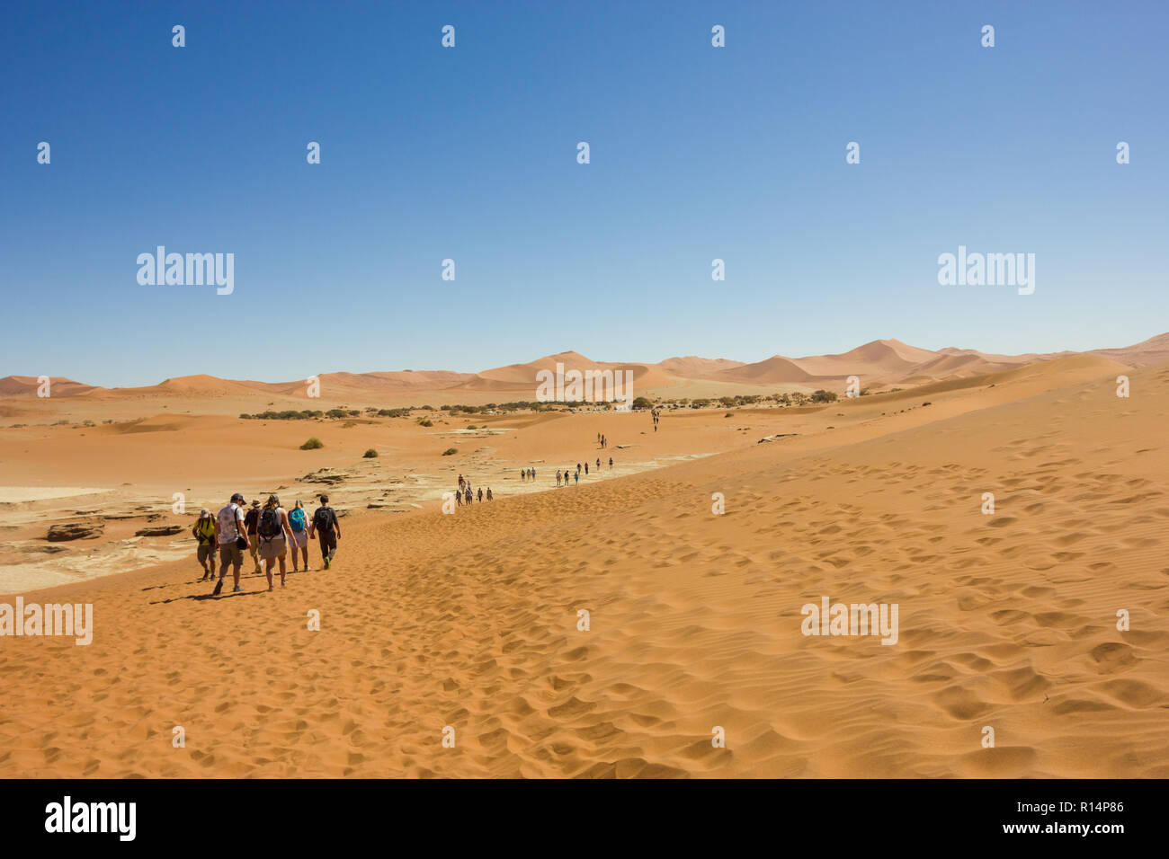 Les gens marcher sur les dunes de sable de Sossusvlei dans le Namib Naukluft National Park en Namibie sur une journée l'hiver Banque D'Images