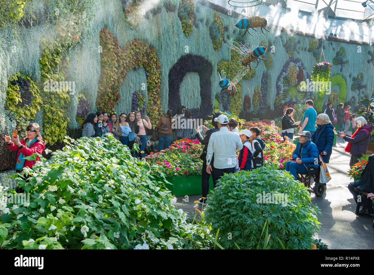 Le Calyx dans les jardins botaniques royaux de Sydney, Australie Banque D'Images