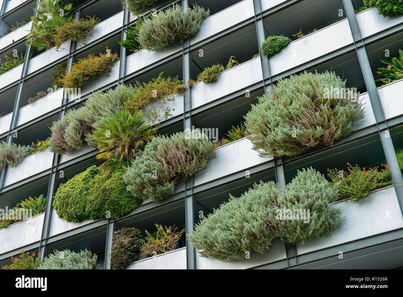 Balkone Bewuchs, Hotel Acores Lisboa, Avenida Columbano Bordalo Pinheiro, Lisboa, Portugal Banque D'Images