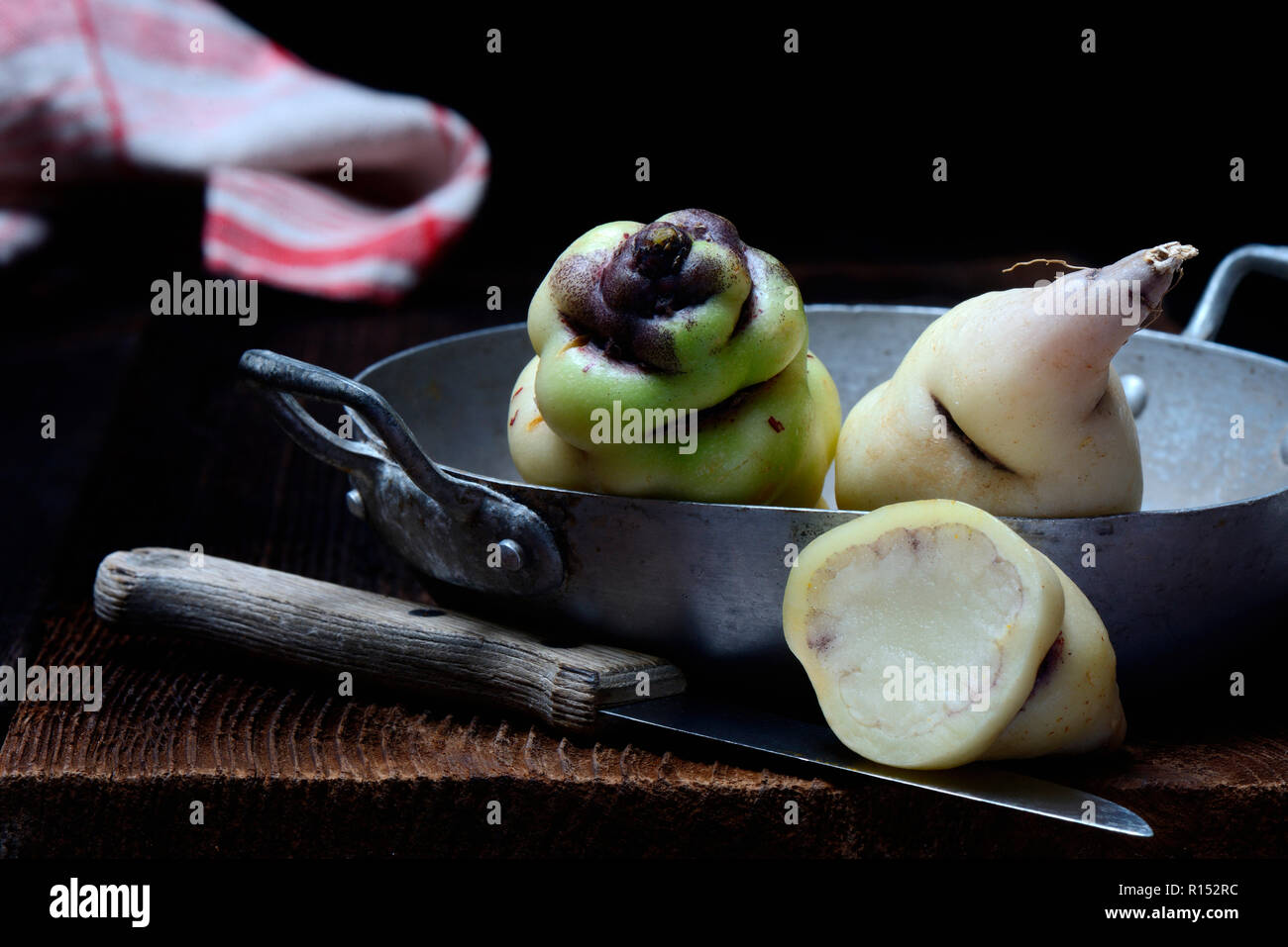 Mashua, Tropaeolum tuberosum Banque D'Images