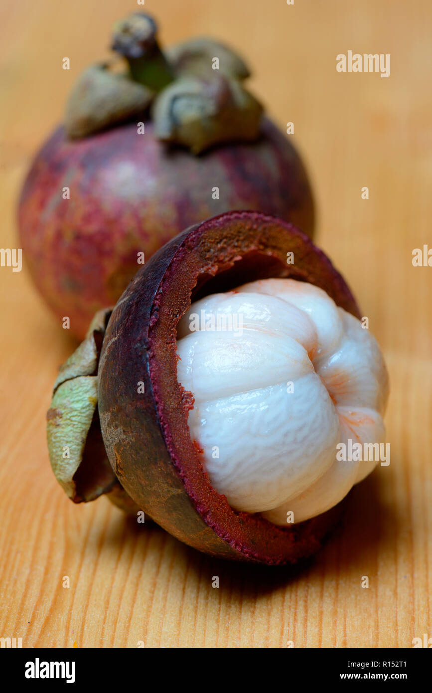 Purple mangoustan, Garcinia mangostana Banque D'Images