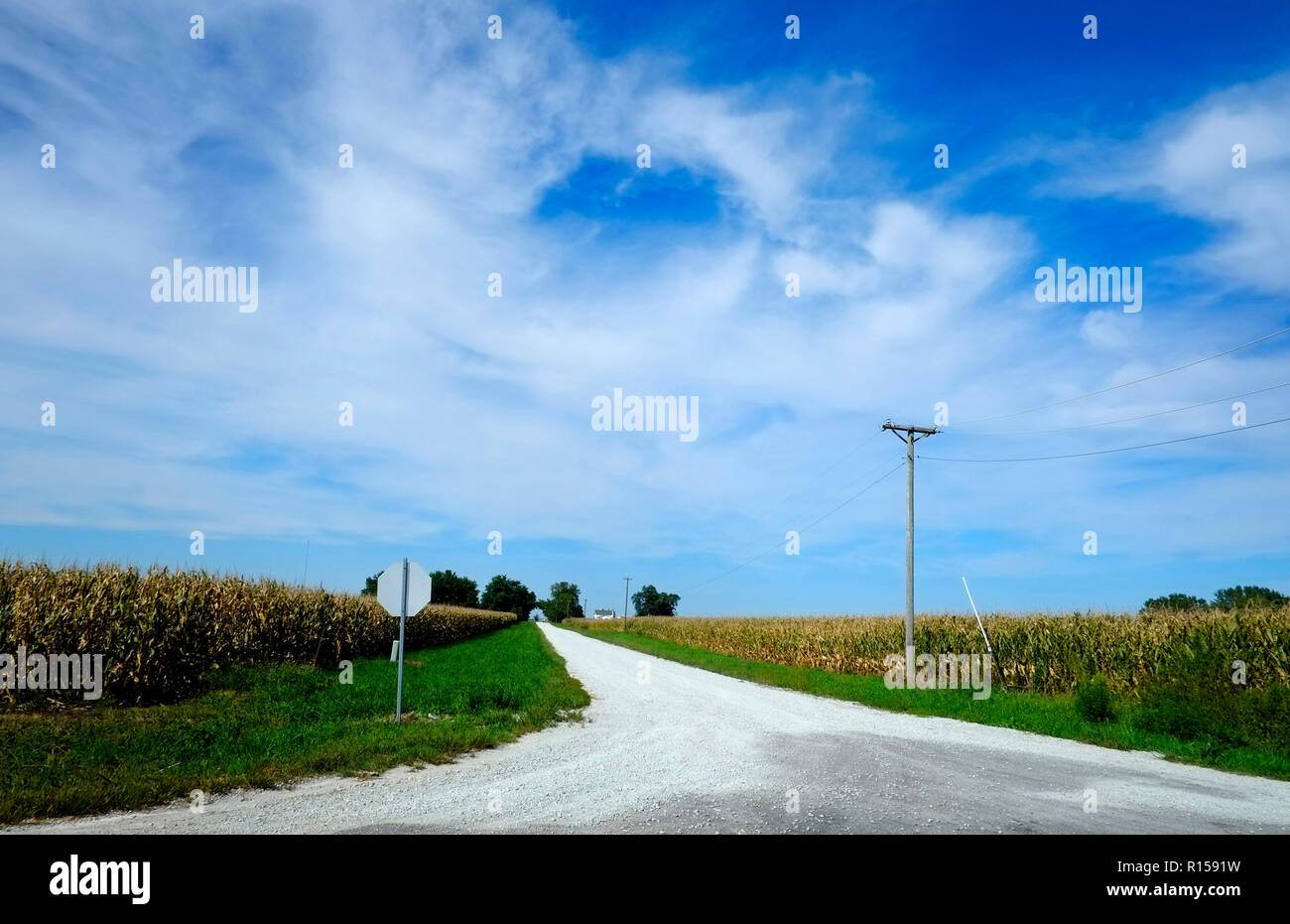 Une route de gravier mène à une ferme sous un ciel bleu dans le Midwest des États-Unis. Banque D'Images