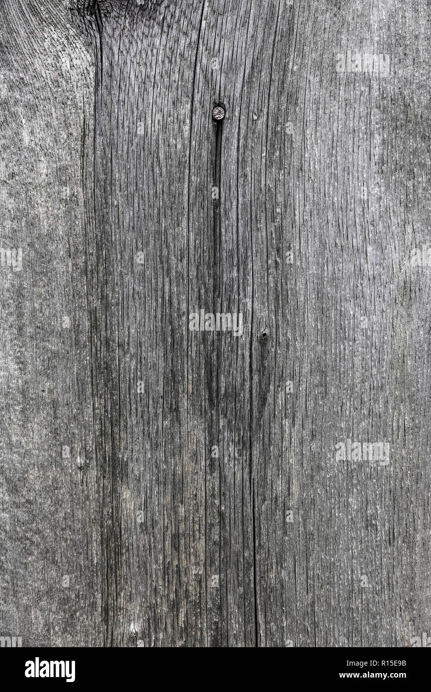 Détail de la planche en bois non fini. Banque D'Images