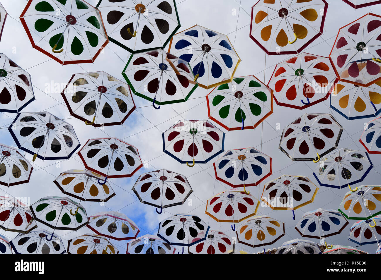 Parasols colorés qui pèsent sur la rue à Camara de Lobos sur l'île portugaise de Madère Banque D'Images