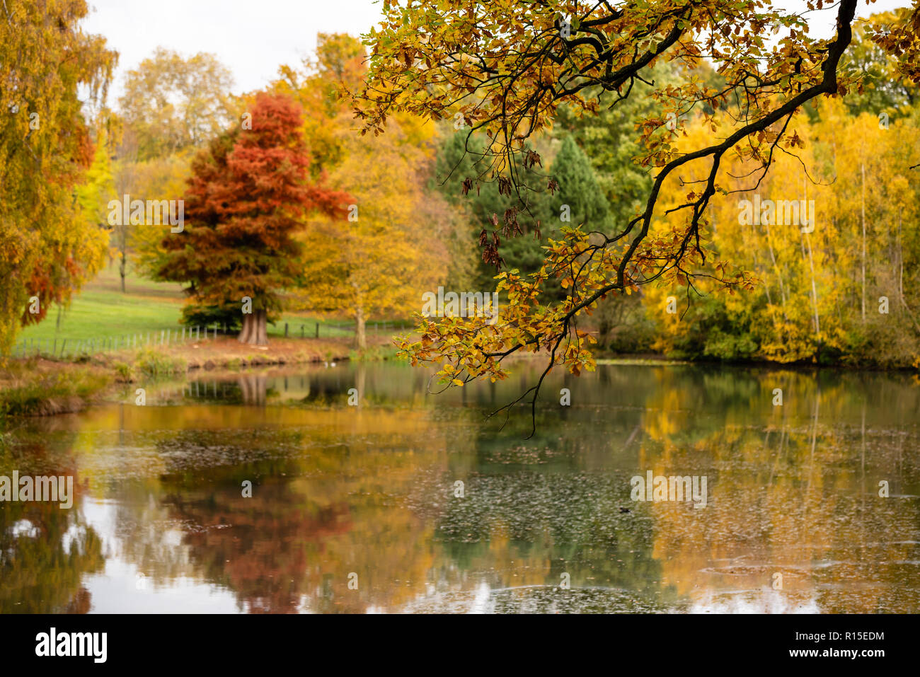 Couleurs d'automne dans la région de Hampstead Heath Banque D'Images