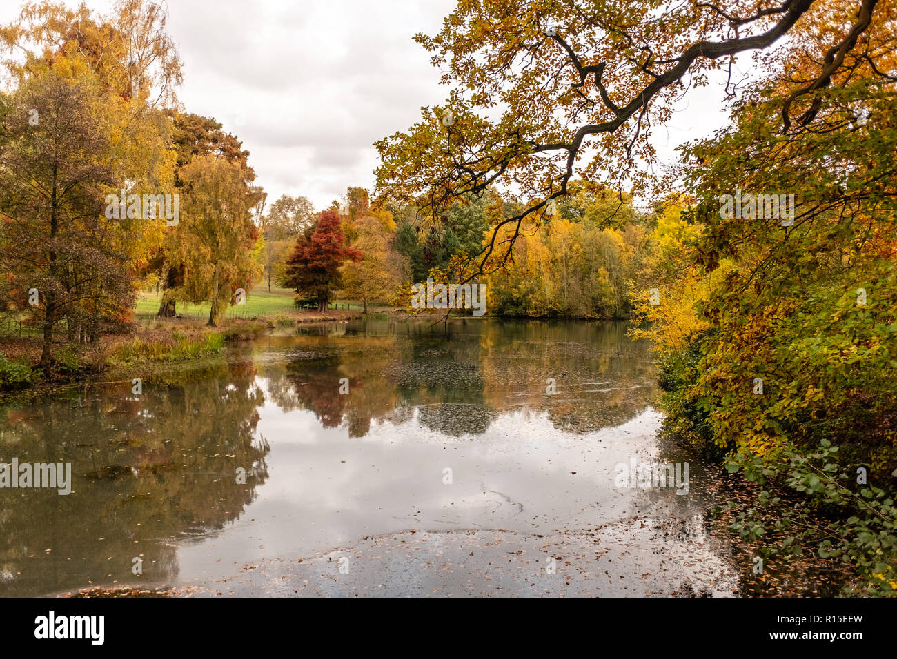 Couleurs d'automne dans la région de Hampstead Heath Banque D'Images