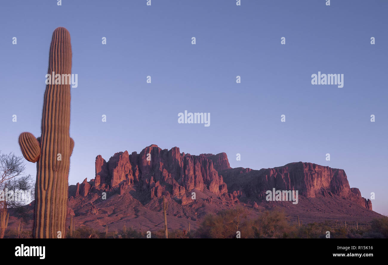 Désert de l'Arizona le coucher du soleil, la roche rouge de la Superstition Mountain s'allume en rouge, encadrée par des arbres emblématiques Saguaro Cactus. Banque D'Images