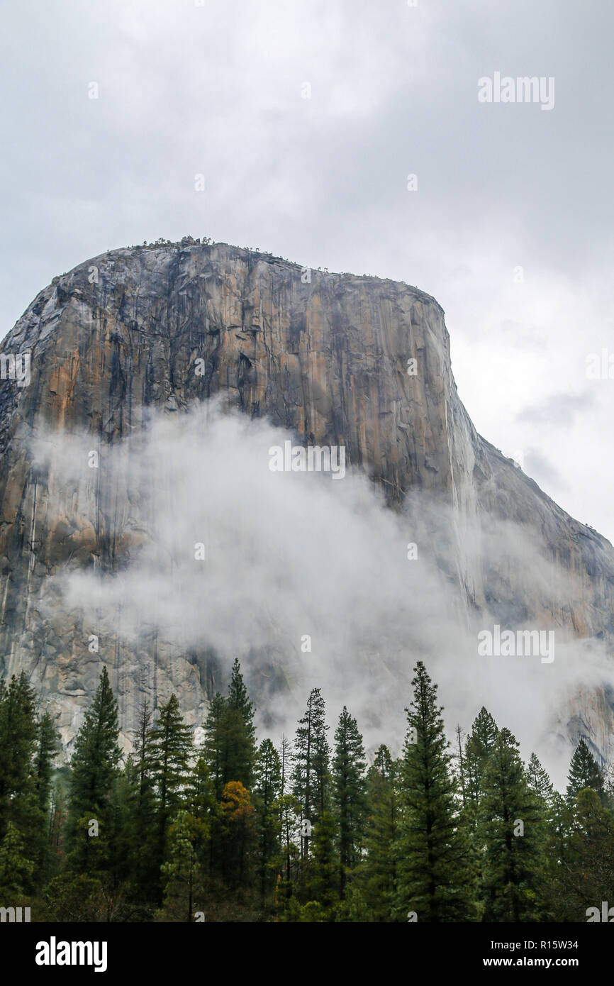 El Capitan dans le Parc National de Yosemite Banque D'Images