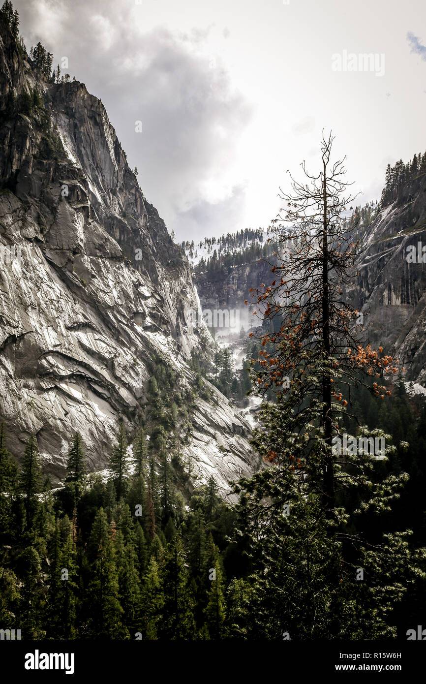 Yosemite National Park California Banque D'Images