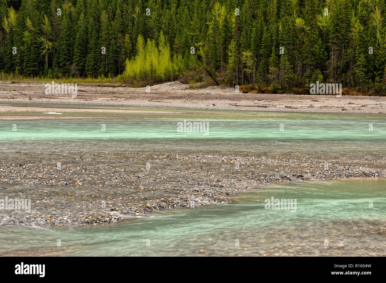 Les lits de gravier et d'eau dans la vallée de la rivière Kicking Horse, parc national Yoho, Colombie-Britannique, Canada Banque D'Images