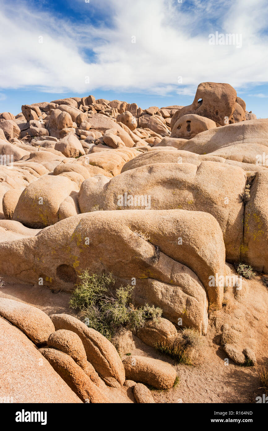 Le parc national Joshua Tree, California, USA Banque D'Images