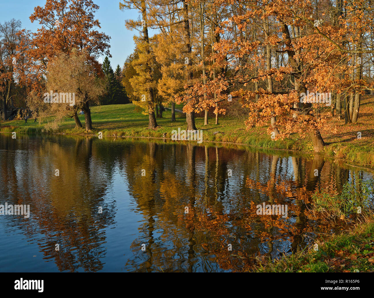 L'automne dans le parc Banque D'Images