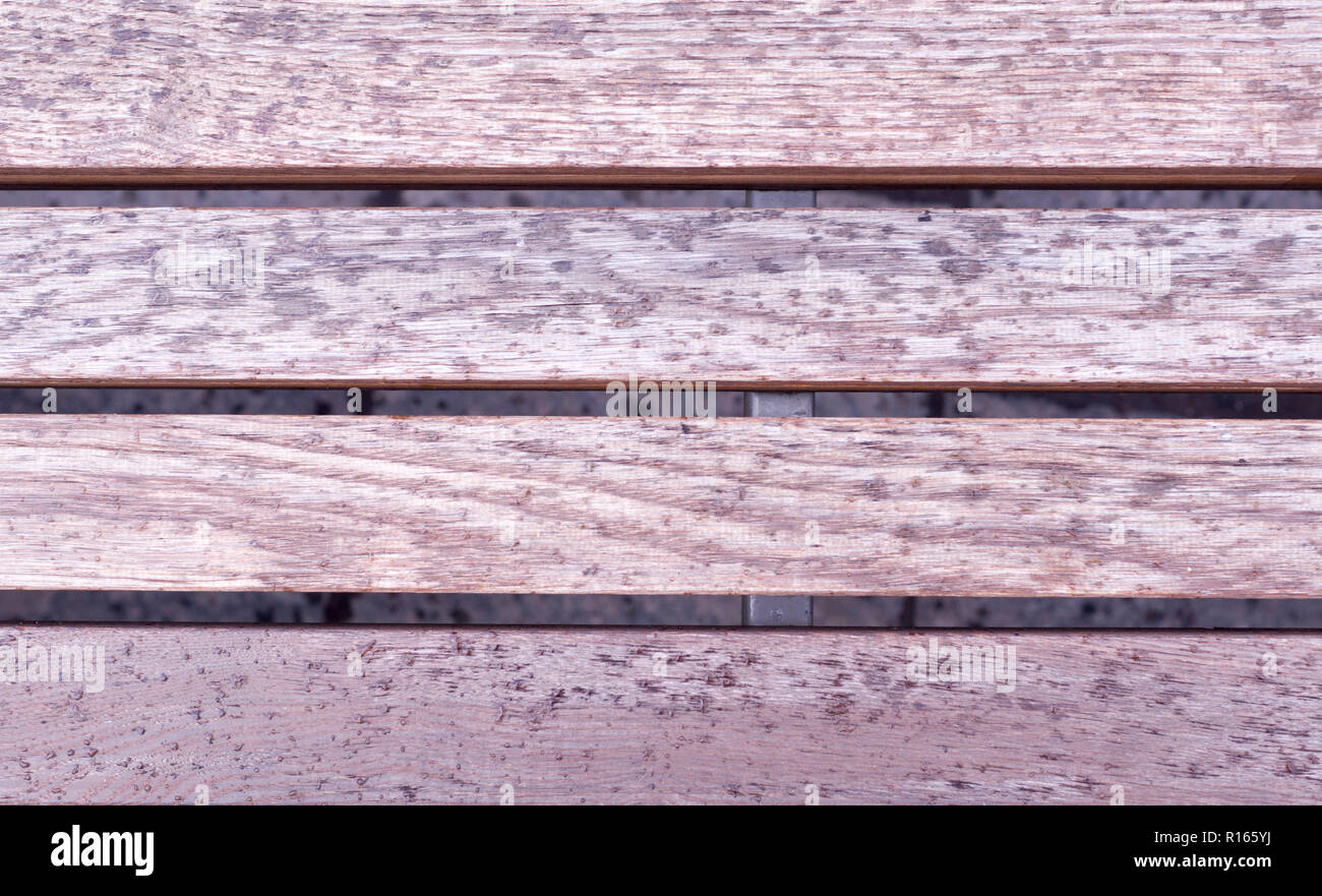 La texture de la surface en bois gris humide, banc. arrière-plan. Banque D'Images