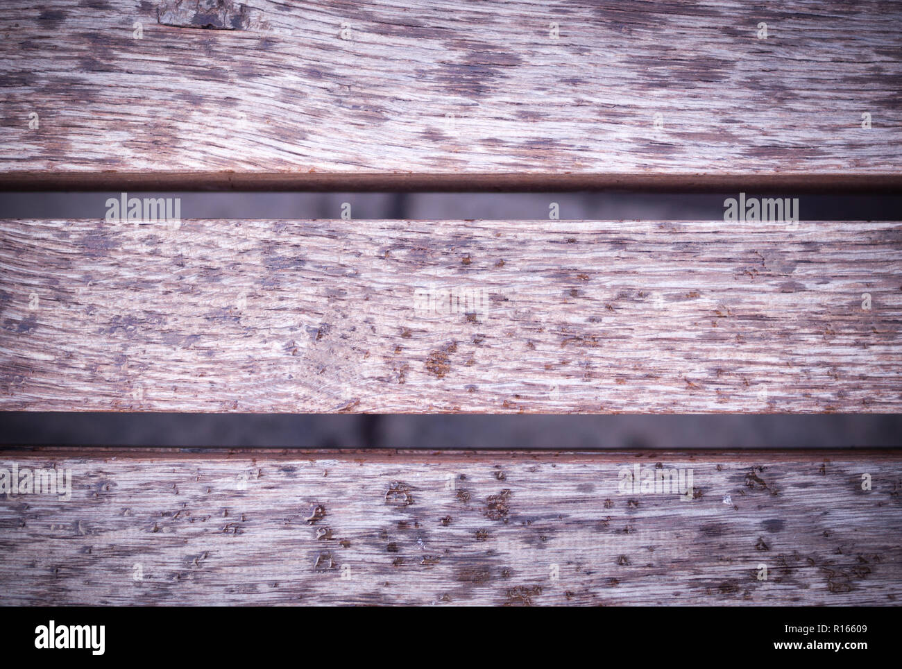 Vignetted gris humide de la texture de surface en bois, banc. arrière-plan. Banque D'Images