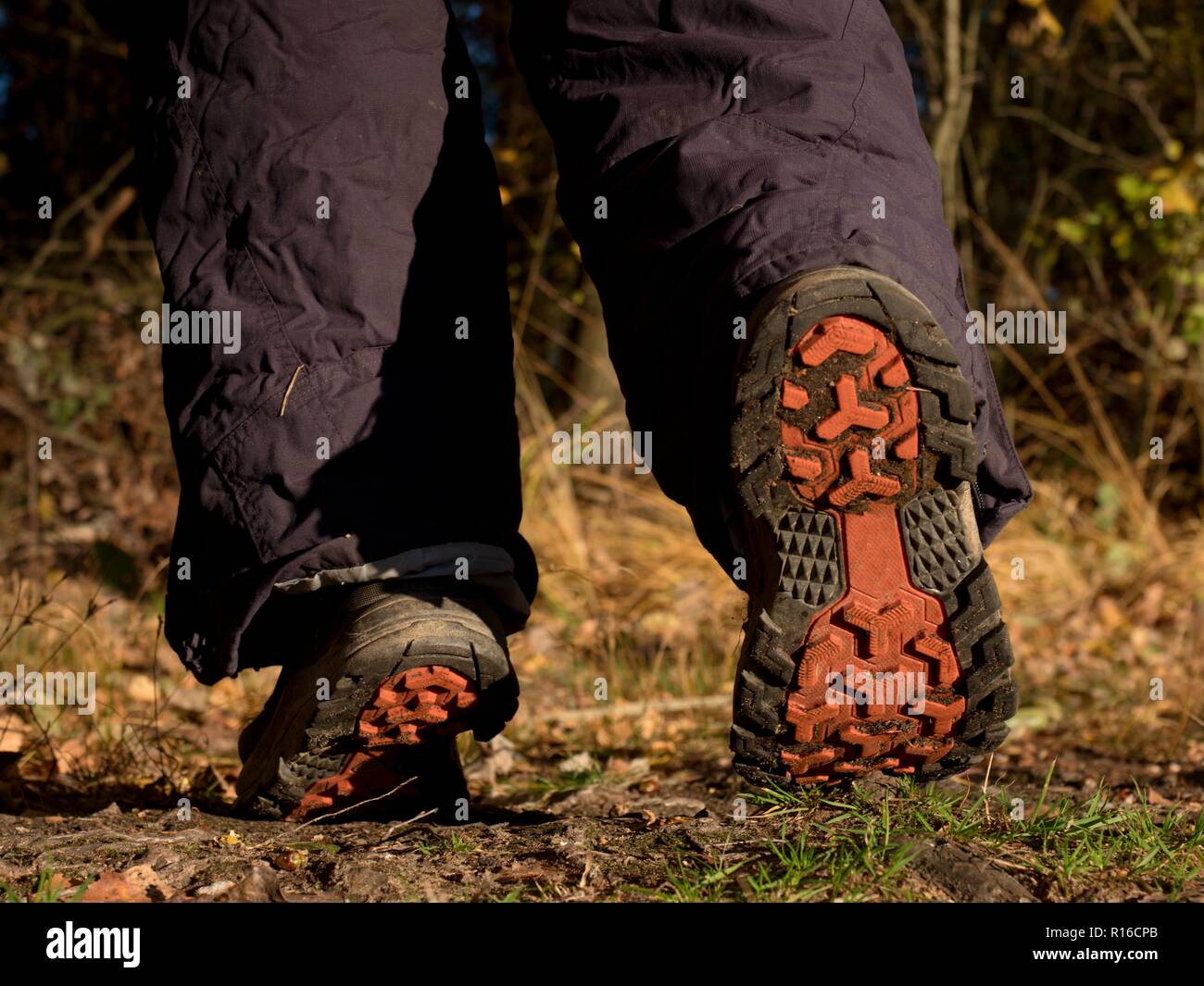 Bottes de randonnée sur sentier forestier. Randonnées d'automne. Close-up  de la marche en chaussures de randonnée dans l'arrière-plan de feuilles et  d'arbres Photo Stock - Alamy