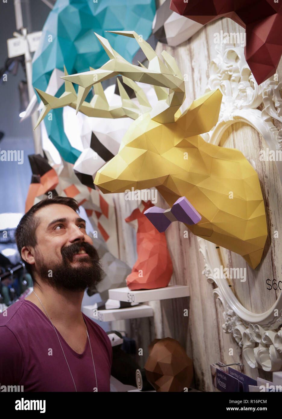 Vancouver, Canada. Nov 9, 2018. Un visiteur regarde 3D'artisanat sur le marché de l'artisanat de cercle, le Canada est l'un des plus grands événements annuels d'artisans, à Vancouver, Canada, le 9 novembre 2018. Credit : Liang Sen/Xinhua/Alamy Live News Banque D'Images