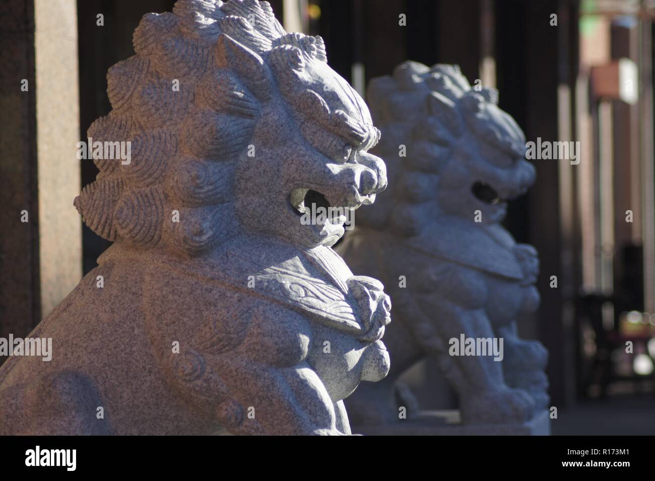 Statues de Lion Banque D'Images