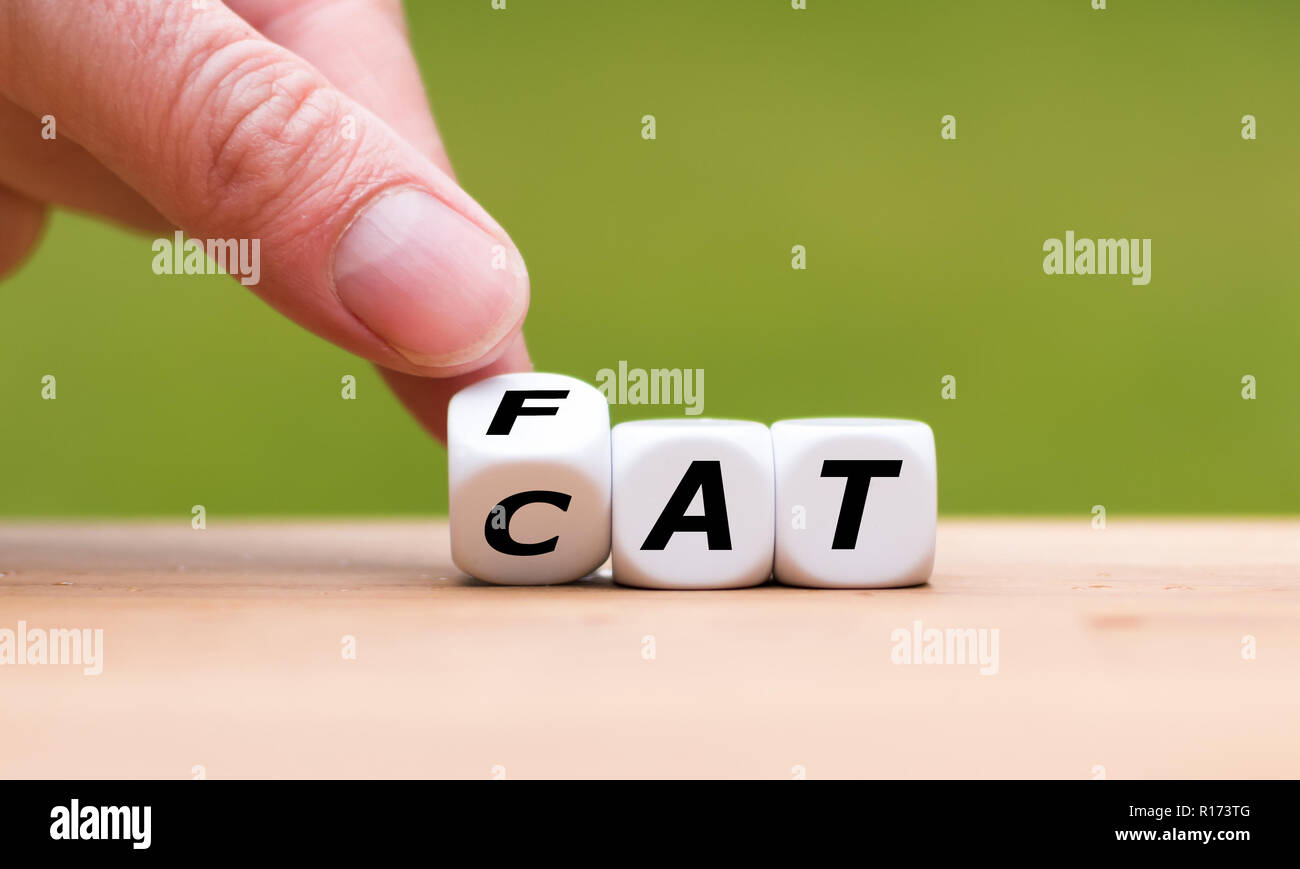 Un tour de main et change le mot dés 'CAT' pour 'FAT' Banque D'Images