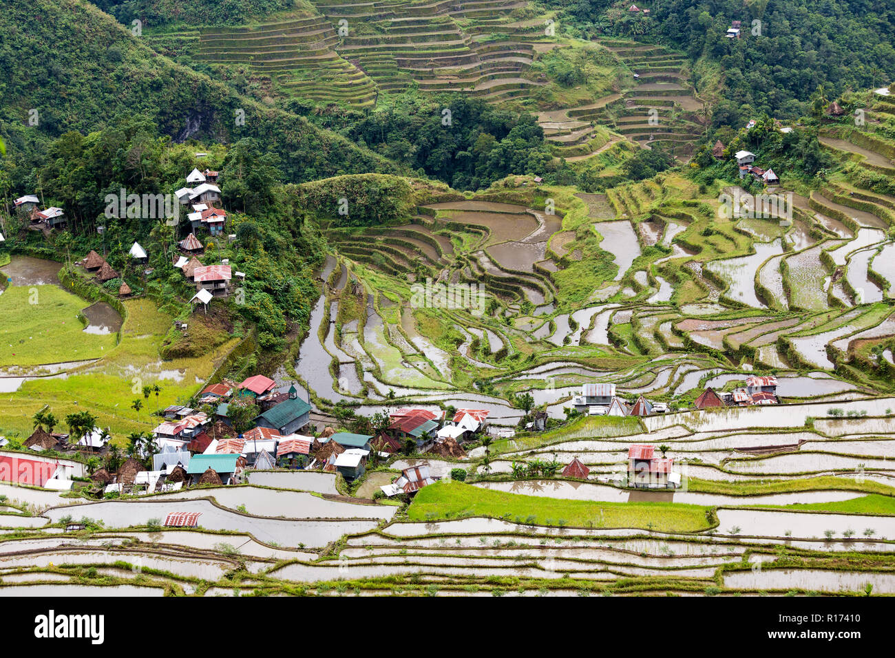 Célèbre champs de riz terrasses dans le village de Batad Philippines Banque D'Images