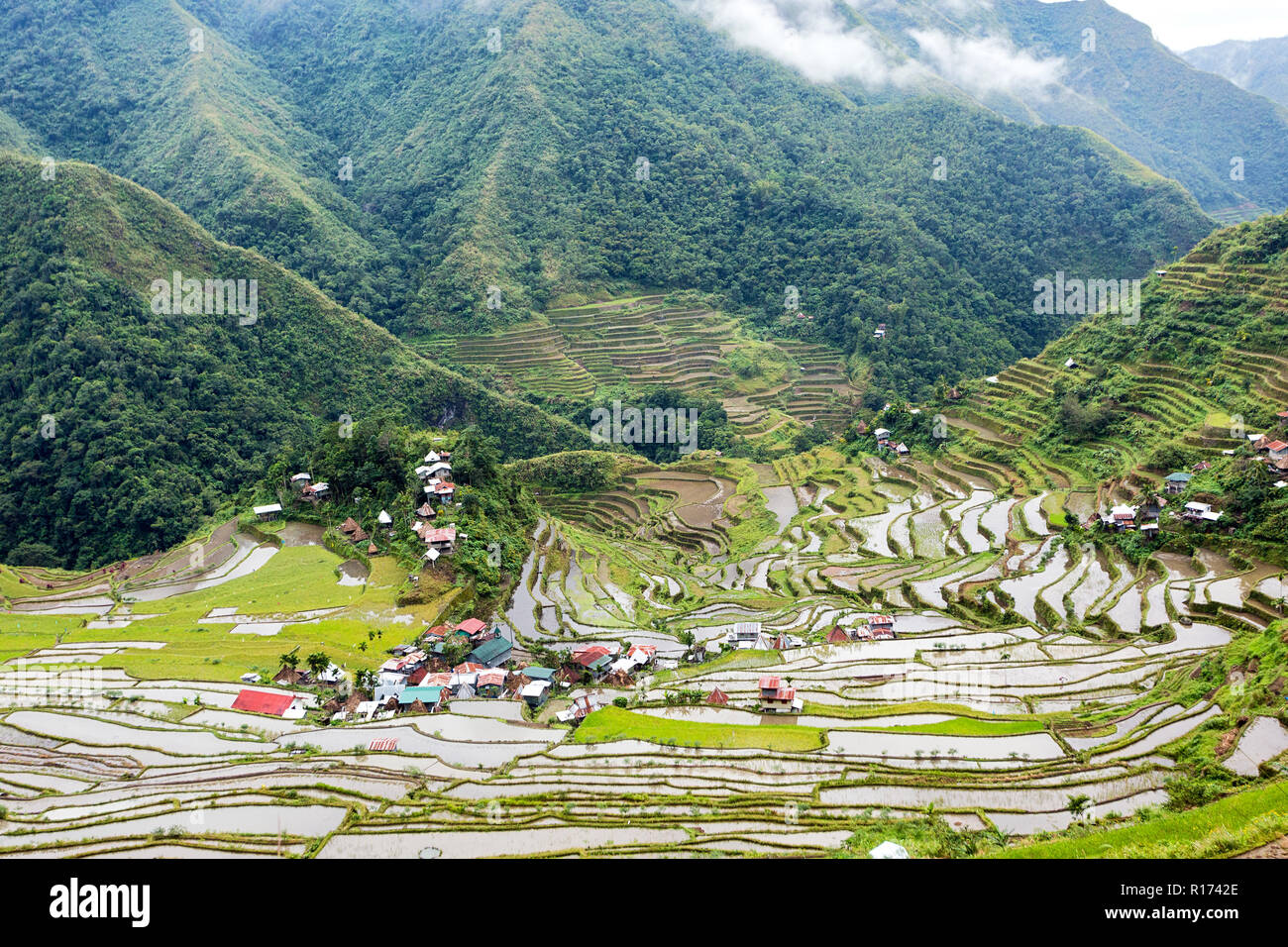 Célèbre champs de riz terrasses dans le village de Batad Philippines Banque D'Images