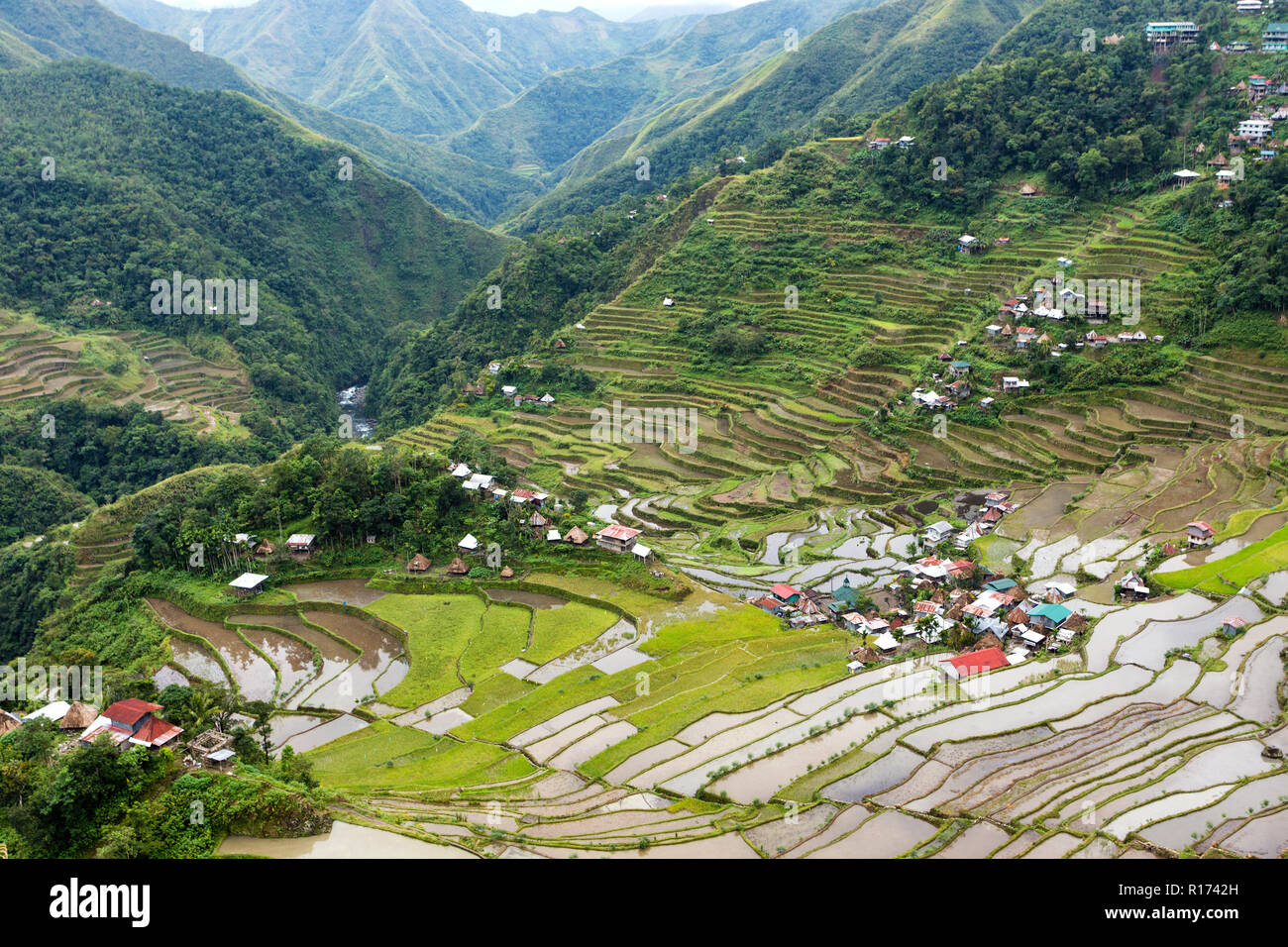 Célèbre champs de riz terrasses dans le village de Batad Philippines Banque D'Images