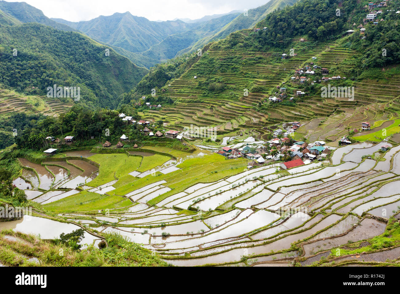 Célèbre champs de riz terrasses dans le village de Batad Philippines Banque D'Images