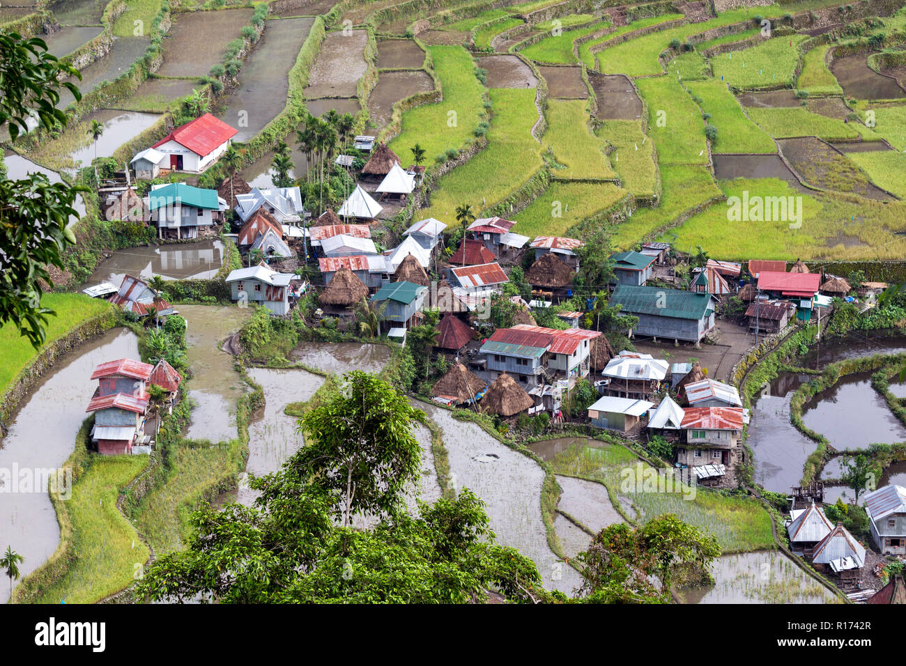 La terrasse rizières et village de Batad Philippines Banque D'Images