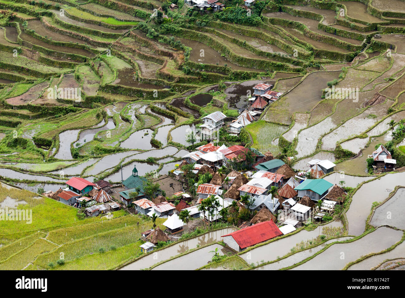 La terrasse rizières et village de Batad Philippines Banque D'Images