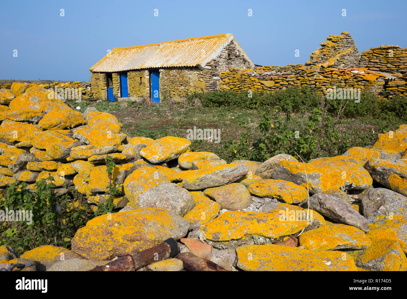 Ancienne ferme en pierre recouvert de lichen jaune dans l'île de Quemenes, Bretagne, France Banque D'Images