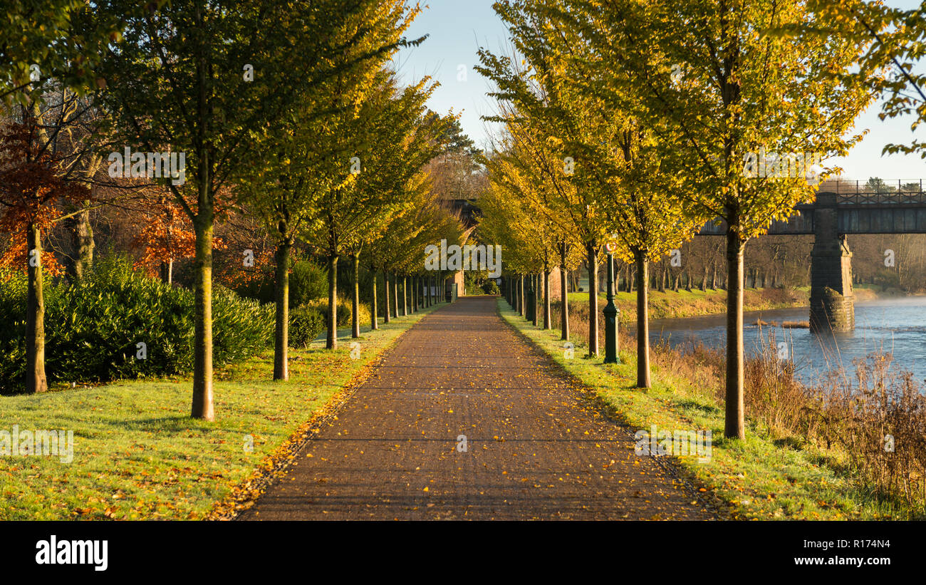 Parc public à l'automne Banque D'Images