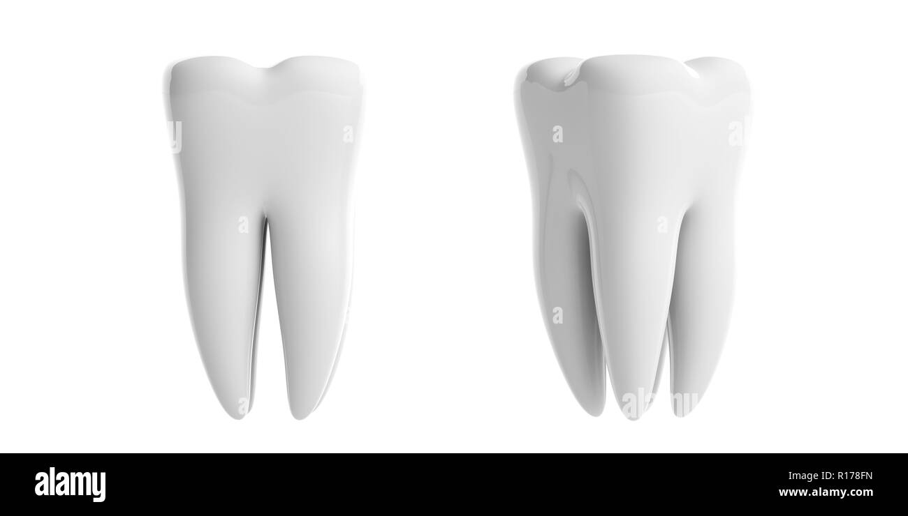 La santé des dents, dentristy concept. Nettoyer les dents brillantes isolées modèles dentelle sur fond blanc. 3d illustration Banque D'Images