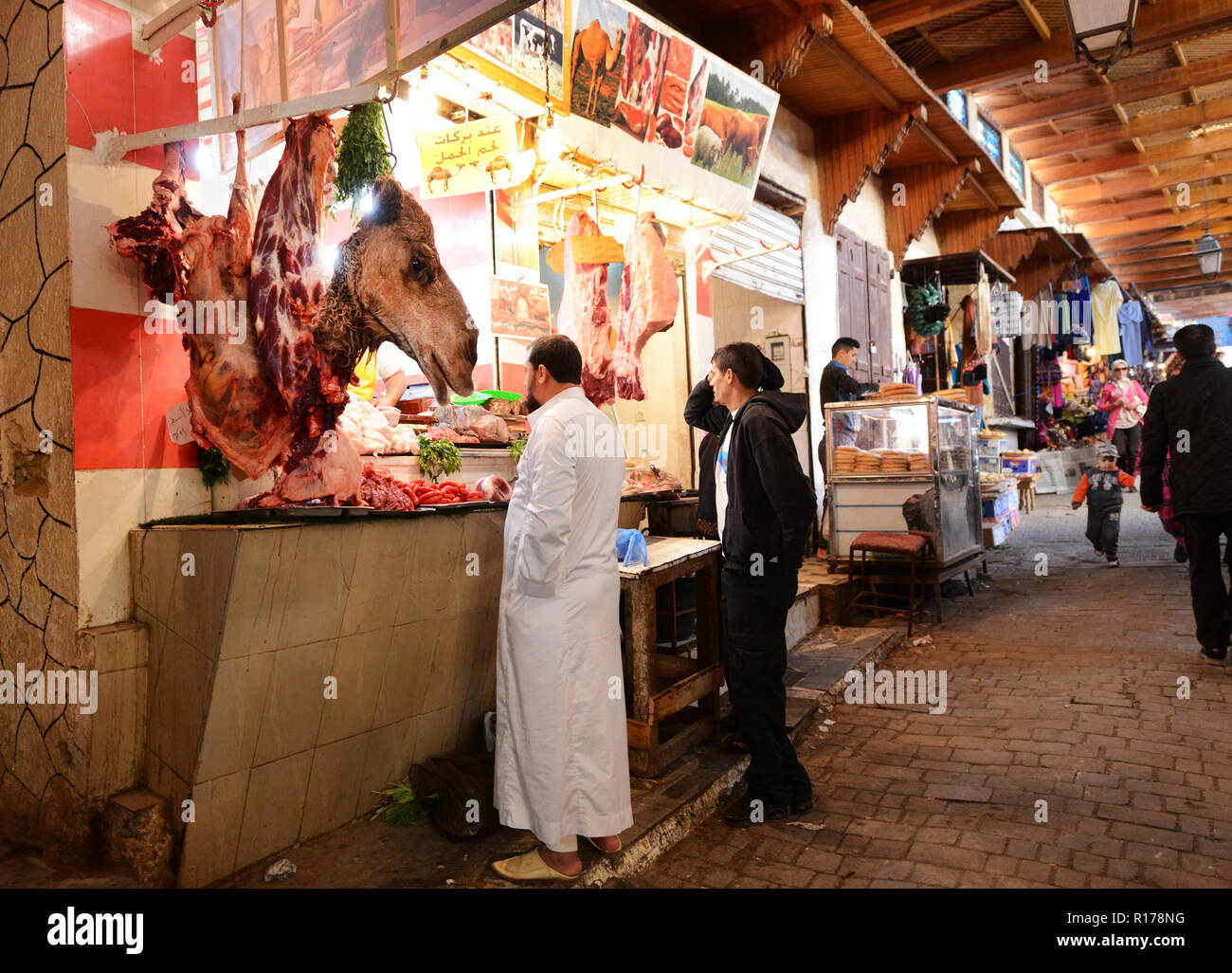 Une tête de chameau sur l'affichage dans le marché de la viande de la FES. Banque D'Images Une tête de chameau sur l'affichage dans le marché de la viande de la FES. Banque D'Images