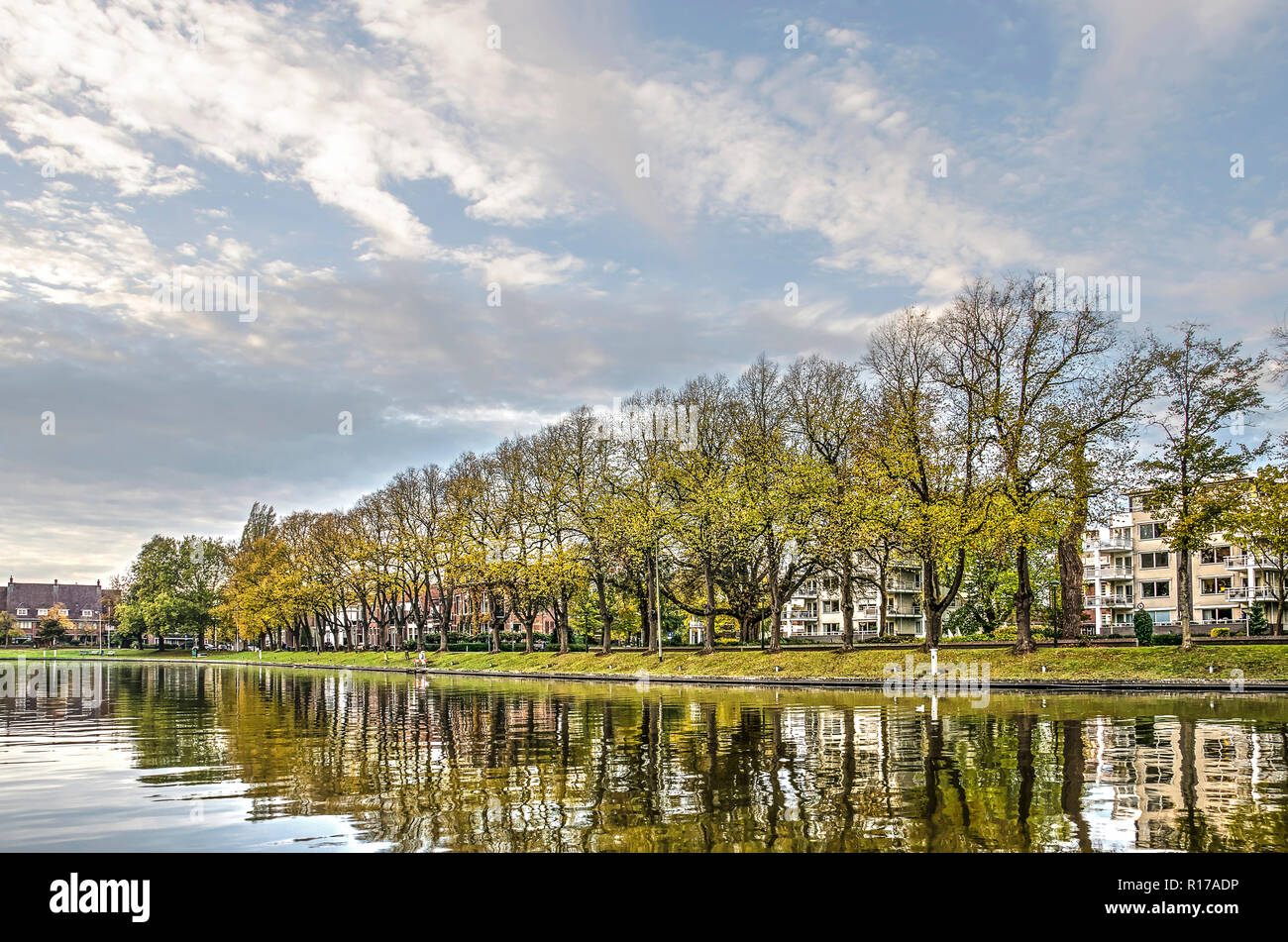 Leeuwarden, Pays-Bas, le 3 novembre 2018 avross Noorderstadsgracht : vers le canal d'une ligne de grands arbres dans couleurs d'automne sur l'interdiction d'en face Banque D'Images