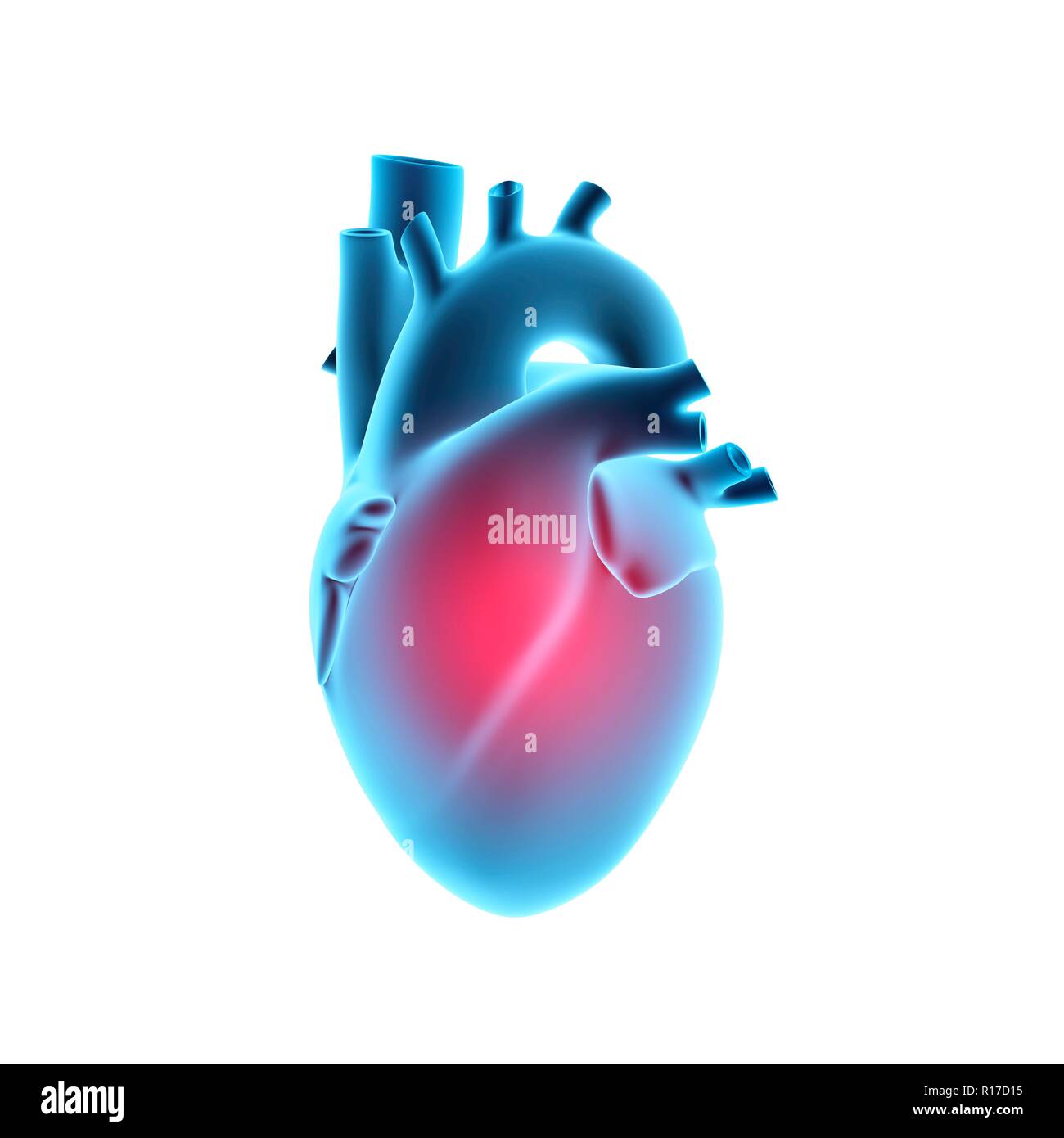 Coeur humain avec pain centre, isolé sur fond blanc. 3D illustration. Banque D'Images