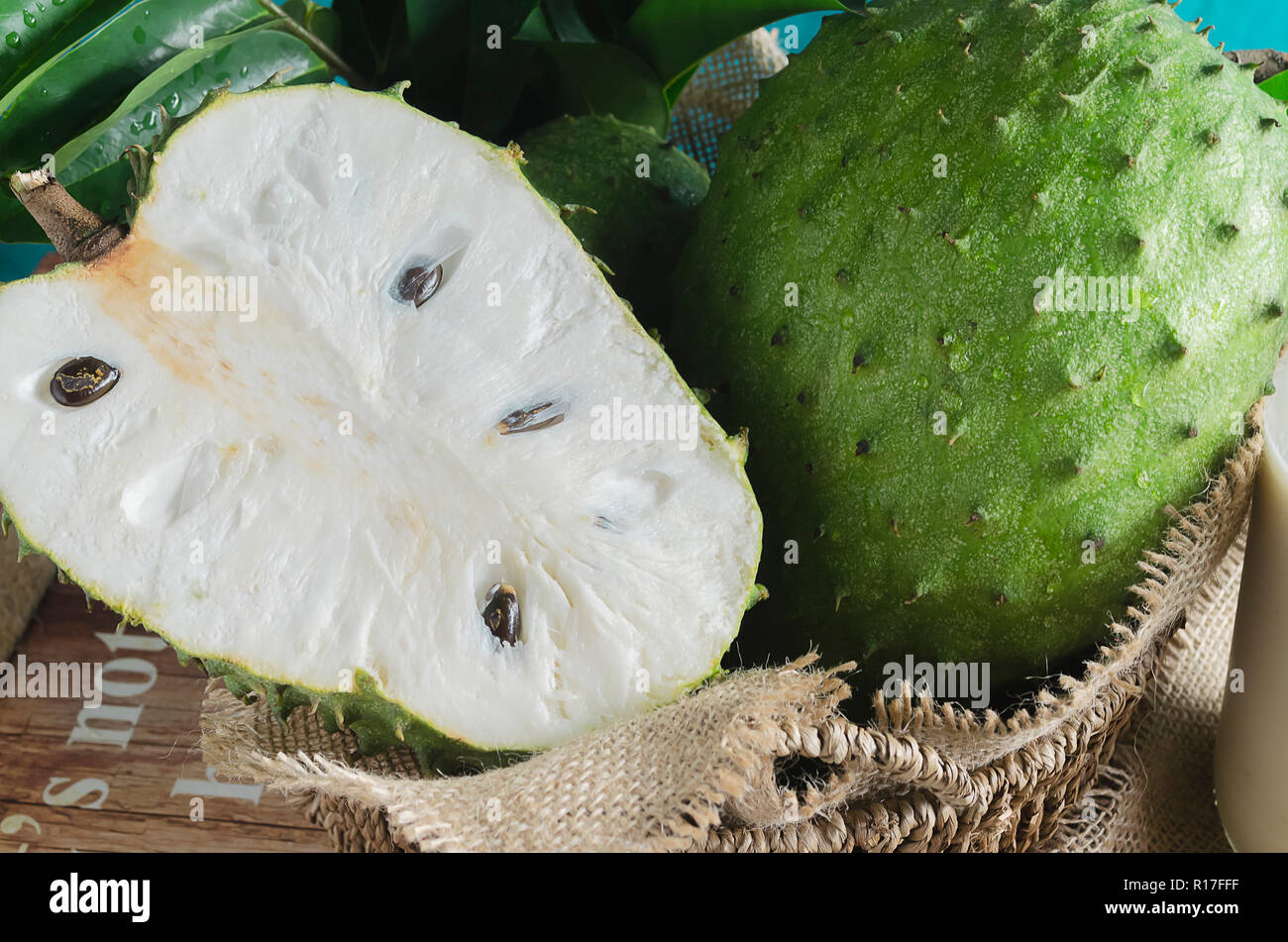 Aussi guyabano corossol graviola, est le fruit d'Annona muricata, un anti-dicotylédones, floraison, arbre à feuilles persistantes Banque D'Images