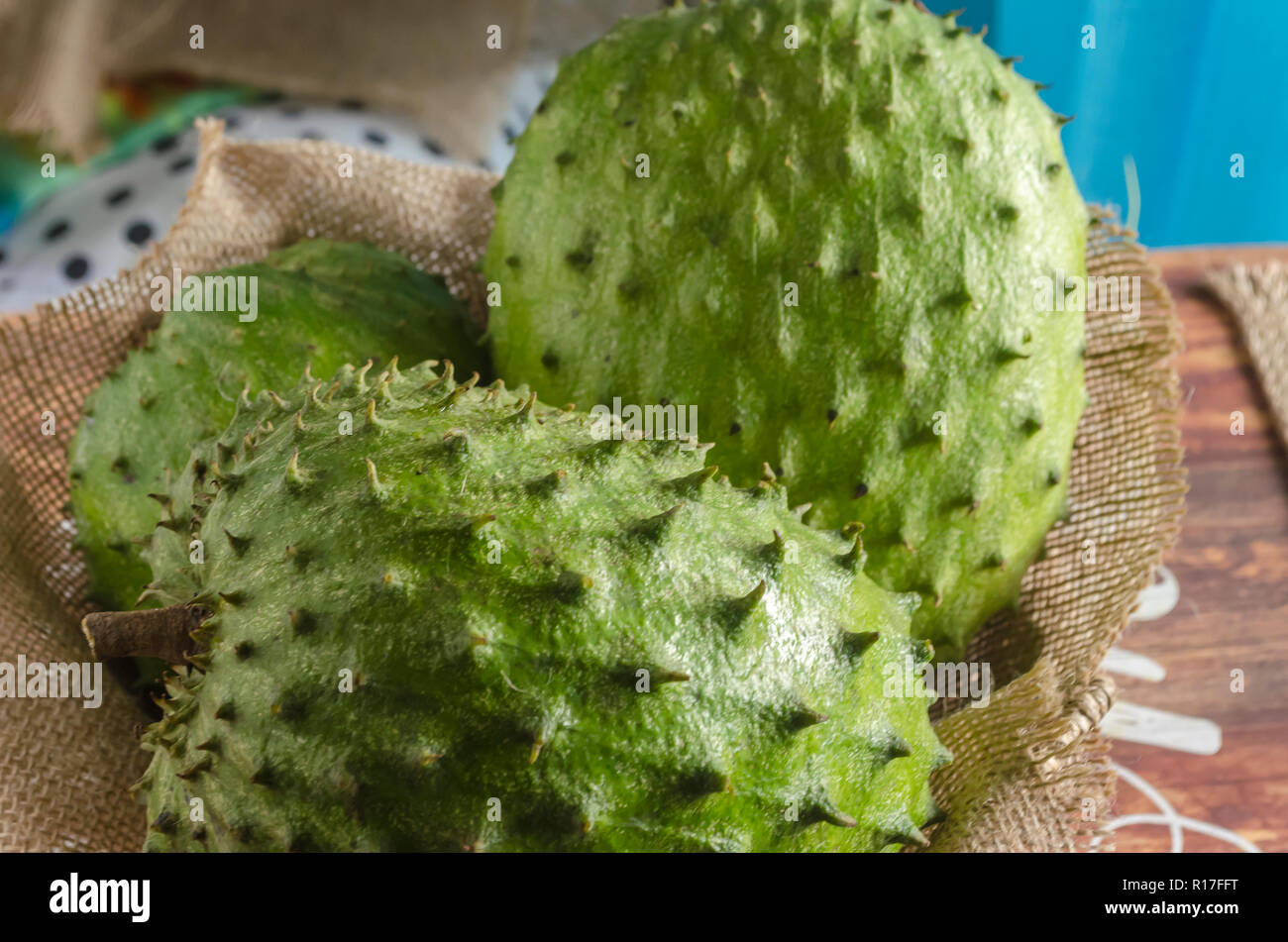 Le corossol Banque de photographies et d’images à haute résolution - Alamy