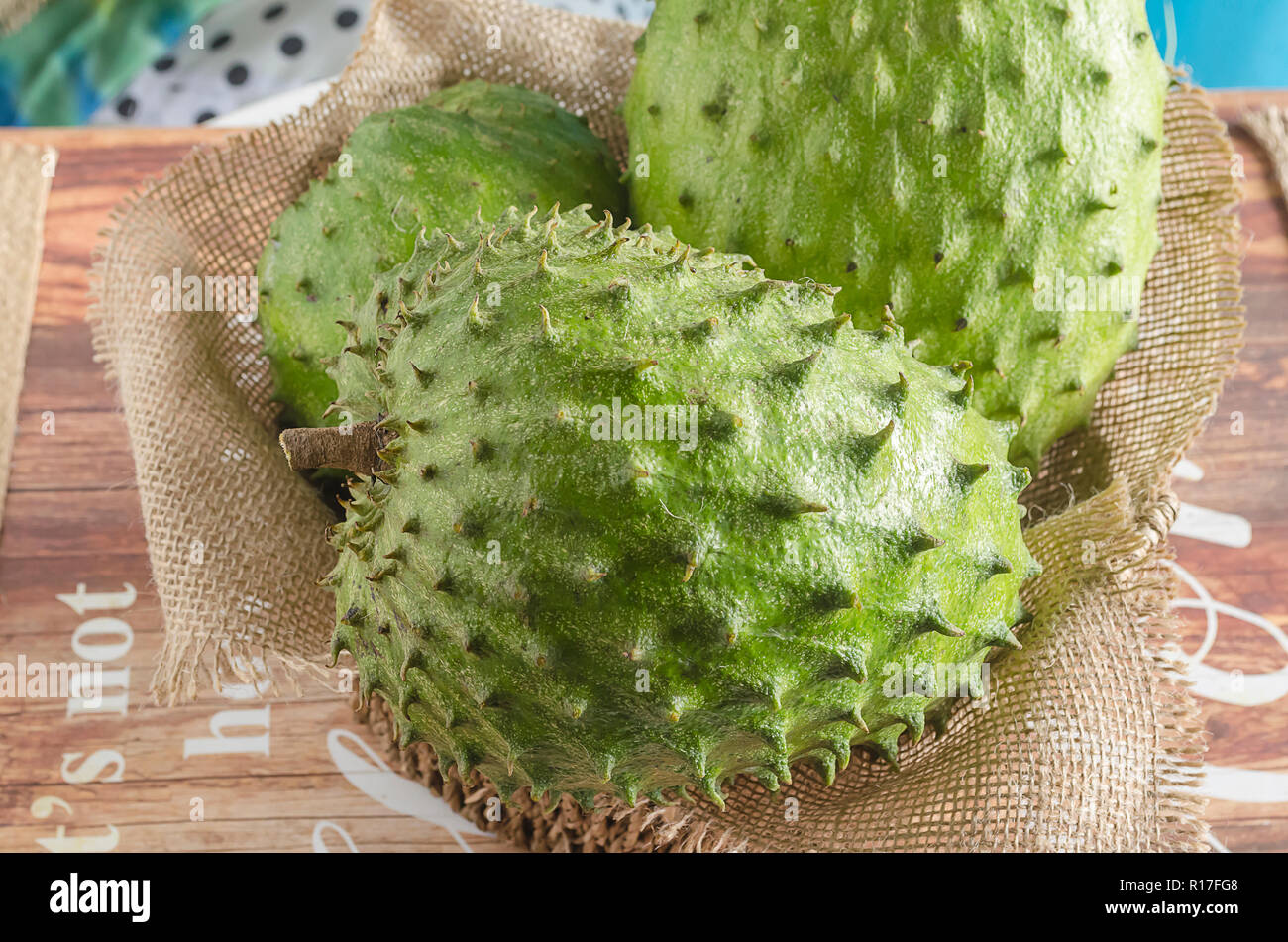 Aussi guyabano corossol graviola, est le fruit d'Annona muricata, un anti-dicotylédones, floraison, arbre à feuilles persistantes Banque D'Images