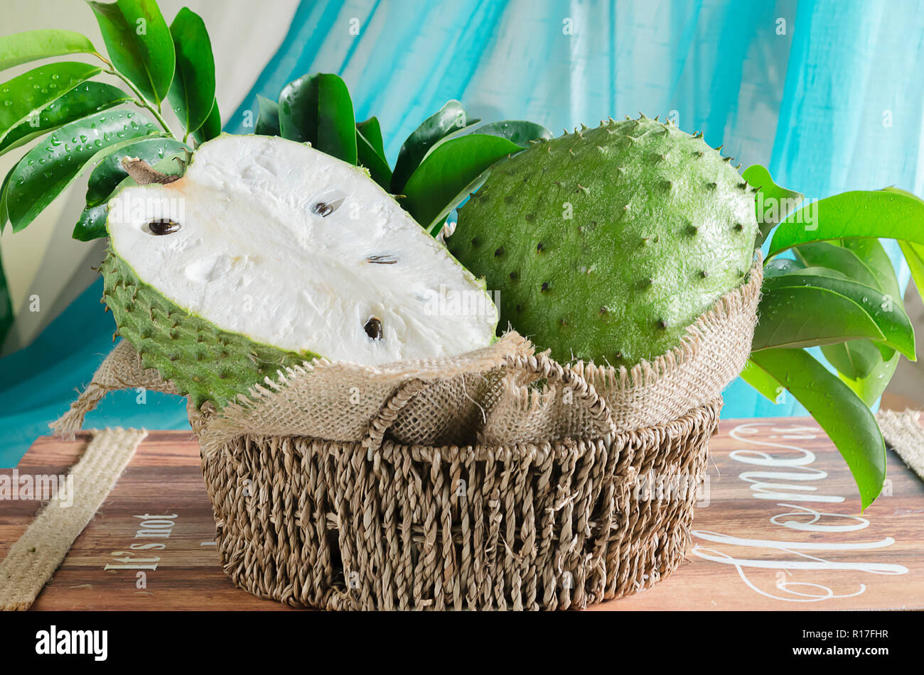 Aussi guyabano corossol graviola, est le fruit d'Annona muricata, un anti-dicotylédones, floraison, arbre à feuilles persistantes Banque D'Images